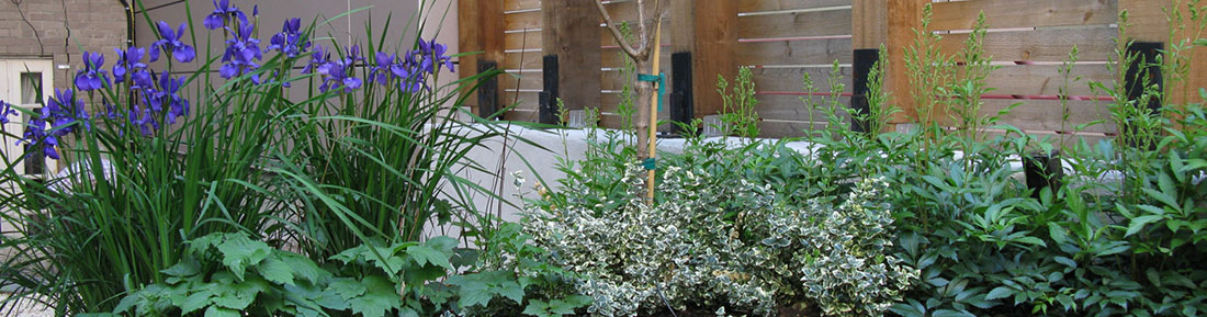 contact the artist garden