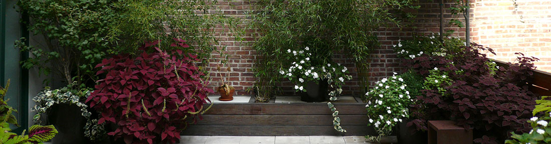 tribeca roof garden