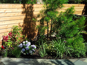 The Artist Garden landscaping services Warren Street Brooklyn garden